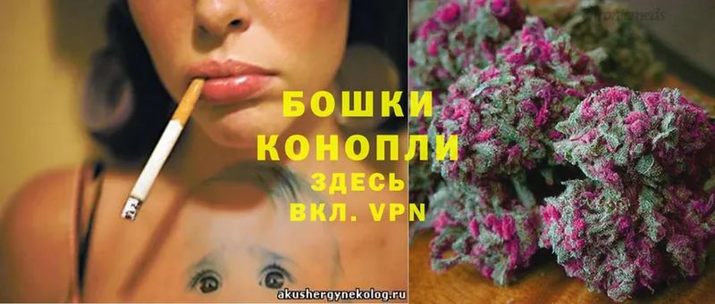 кракен tor  Данков  Бошки марихуана THC 21% 